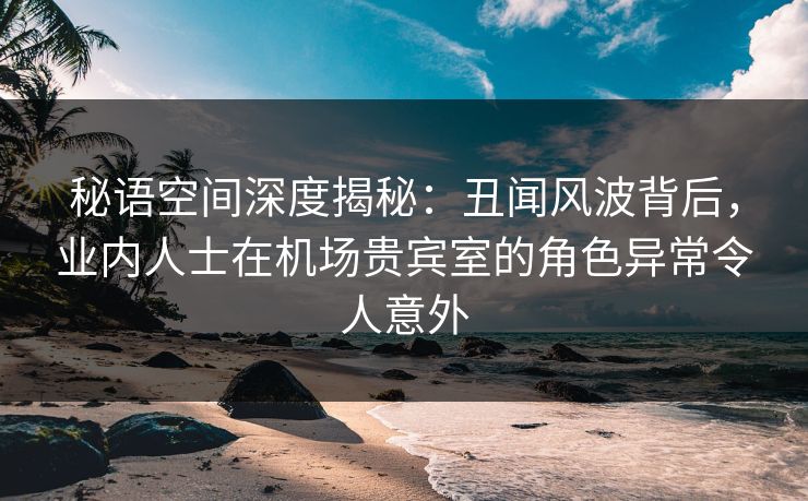 秘语空间深度揭秘：丑闻风波背后，业内人士在机场贵宾室的角色异常令人意外